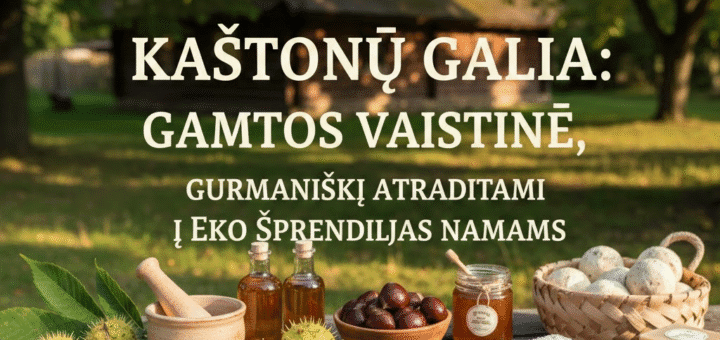 Kaštonų Galia: Gamtos Vaistinė, Gurmaniški Atradimai ir Eko Sprendimai Namams