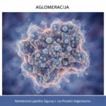 Agliomeracija: Nematoma Ląstelių Sąjunga ir Jos Poveikis Organizmui